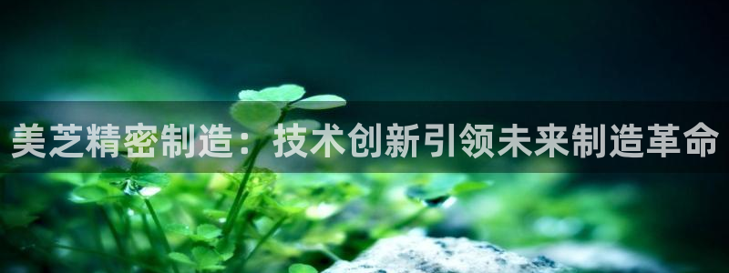 彩神购彩-购彩大厅入