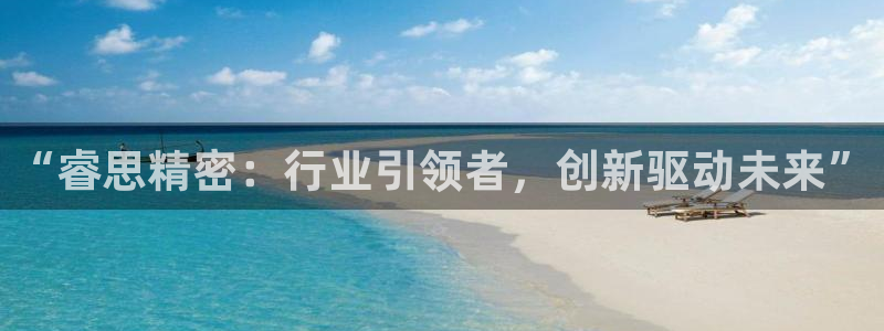 新版彩神v8登录：“睿思精密：行业引领者，创新驱动未来”