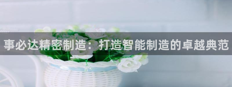 彩神ix官网是哪个公司的：事必达精密制造：打造智能制造的卓越典范
