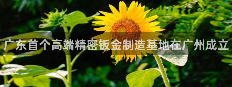 彩神系列平台：广东首个高端精密钣金制造基地在广州成立