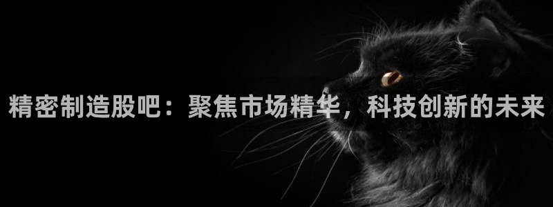 彩神vii购彩l心：精密制造股吧：聚焦市场精华，科技创新的未来