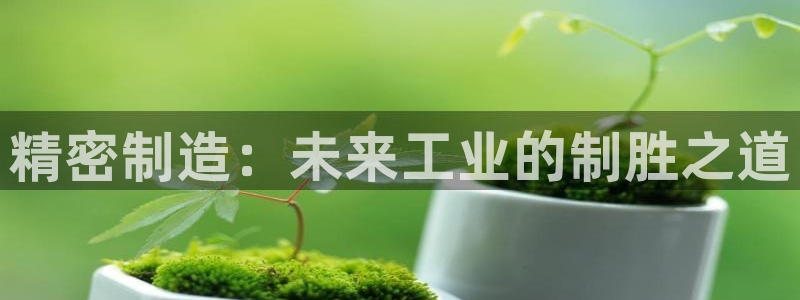彩神天下专家专栏：精密制造：未来工业的制胜之道