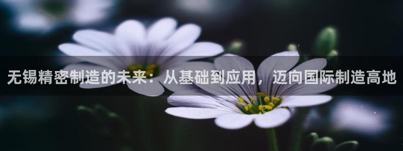 彩神v8是真的挣钱吗